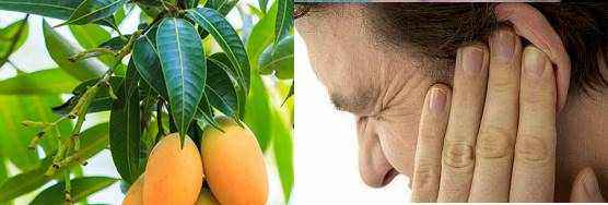 Remedy for earaches