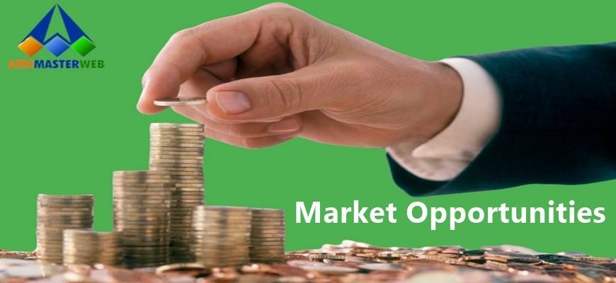 7 Ways To Identify Market Opportunities For a Business Growth