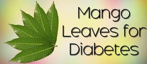 Mango leaves regulate diabetes.