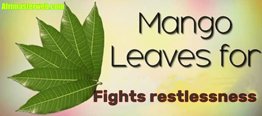 Mango leave Fight restlessness.