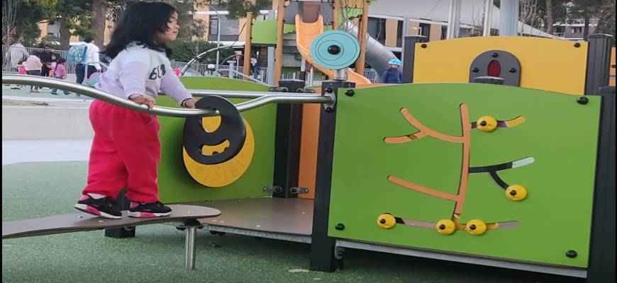playgrounds in Sydney. Magpies Waitara kid