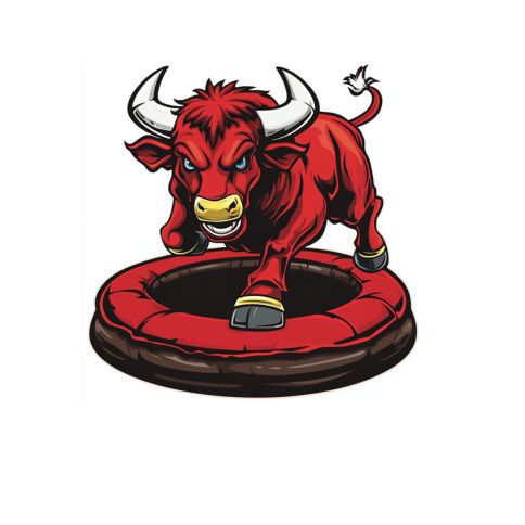 Best Mechanical Bull Rental DFW