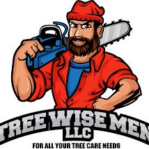 Tree Wise Men LLC