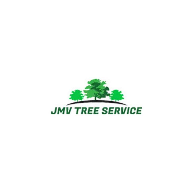 JMV Tree Services Corp