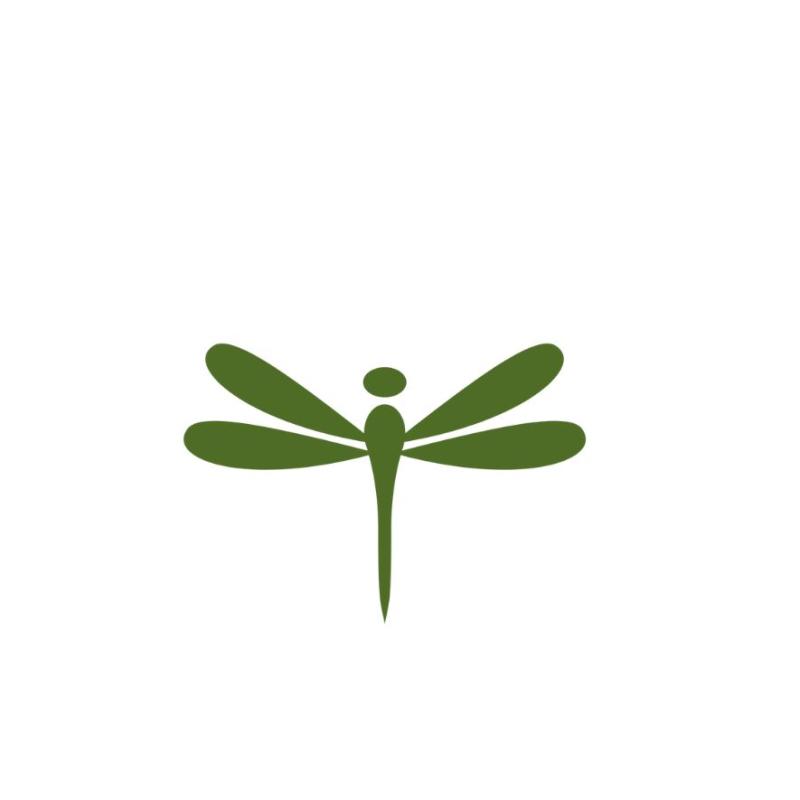 The Dragonfly Nest LLC