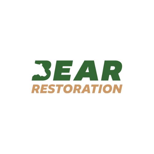 Bear Restoration