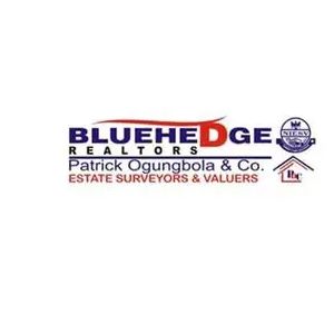 BLUEHEDGE Realtors