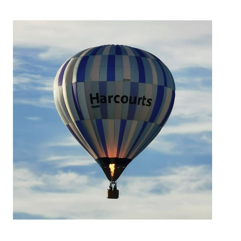 Harcourts Hamilton
