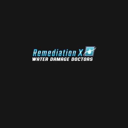 REMEDIATIONX