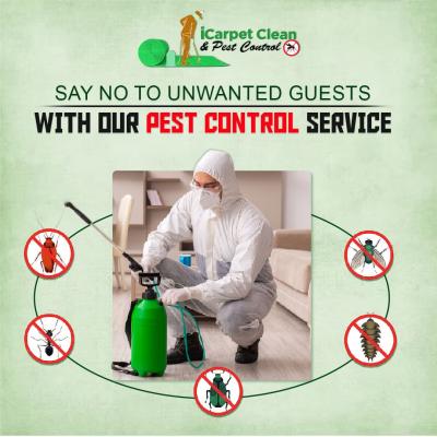 Are you looking for pest control services in Logan