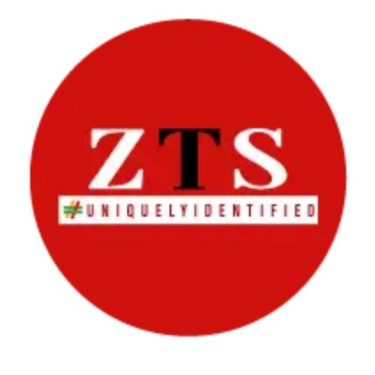 ZTS Infotech Pvt Ltd