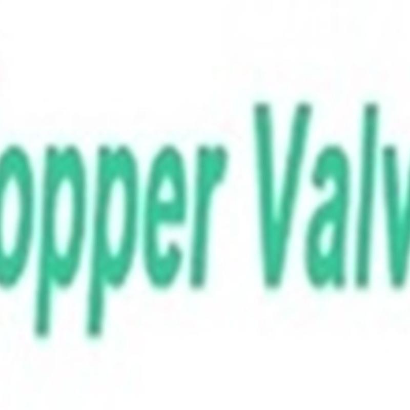 China Topper Forged Valve Manufacturer Co., Ltd.